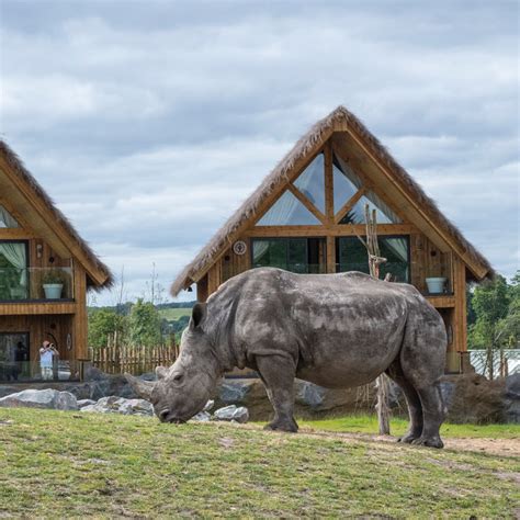 Safari Lodges - About the Lodges | West Midlands Safari Park