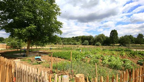 Metz Le Concours Des Plus Beaux Jardins Familiaux Est Lanc