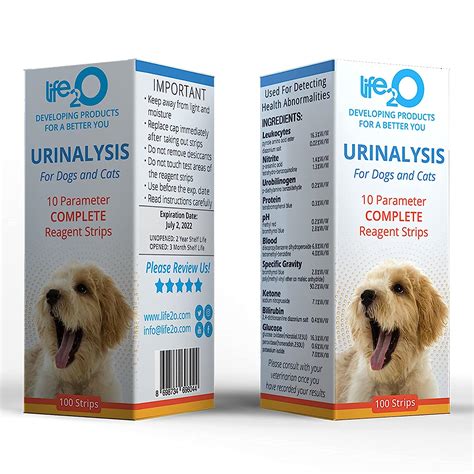 How Does Vet Check Dog For Uti
