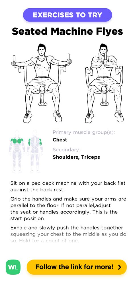 Butterflies Pec Deck Seated Machine Flyes Workoutlabs Exercise Guide