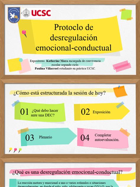 Protocolo De Desregulación Emocional Conductual Pdf Las Emociones