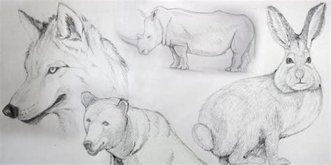 5 COURS DE DESSIN GRATUITS POUR APPRENDRE À DESSINER LES ANIMAUX.