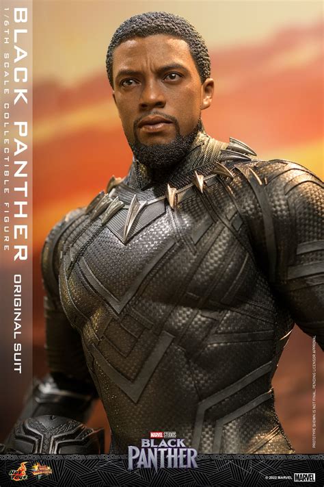 Hot Toys MMS Black Panther Legacy Original Suit Hot Toys Complete Checklist