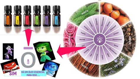 Óleos Essenciais Doterra Para As Emoções Console E Peace Youtube