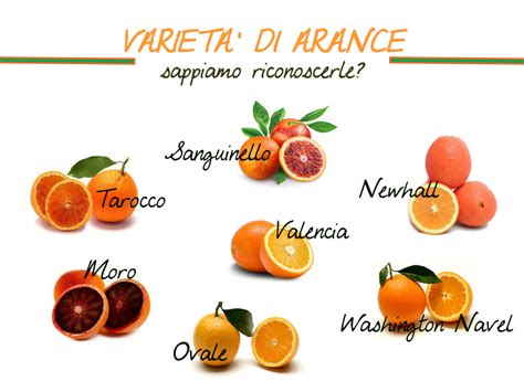 Variet Delle Arance Tutte Le Varianti Arance E Non Solo