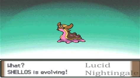 Pokemon Platinum Shellos Evolves to Gastrodon - YouTube