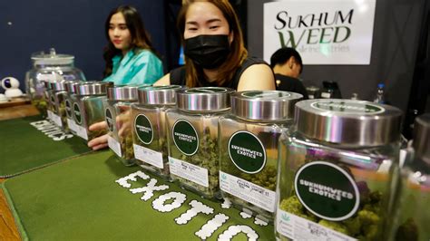 Cannabis Is Now Legal In Thailand But Its Complicated What Travelers Need To Know Lonely Planet