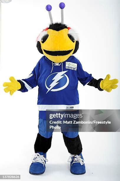 Tampa Bay Lightning Mascot Photos And Premium High Res Pictures Getty