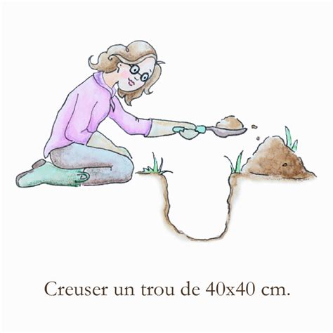 Conseils De Plantation Des Rosiers ROSERAIE DUCHER