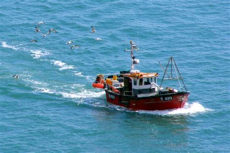 EU moves step closer to ban on deep-sea trawler fishing – EURACTIV.com