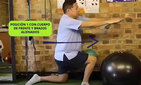 Ejercicios Para El Dolor De Espalda En Casa Una Guía Completa Por Freddy Espin Fisio Sport