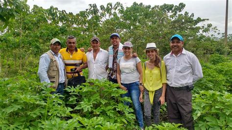 Organizaci N De Las Naciones Unidas Para La Alimentaci N Y La