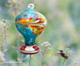 Feeding before migration... #hummingbird #migration #birding #nature ...