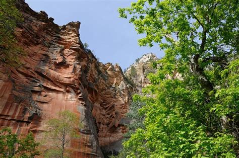 Camp At Cave Springs Campground In Oak Creek Canyon Arizona Bucket List Dream From Tripbucket