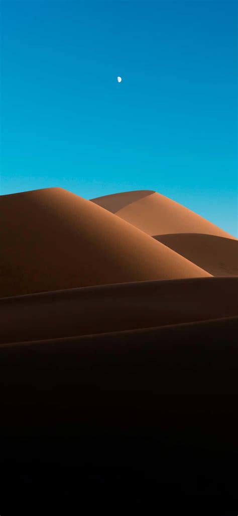 Desert Hd Wallpaper Iphone Infoupdate Org