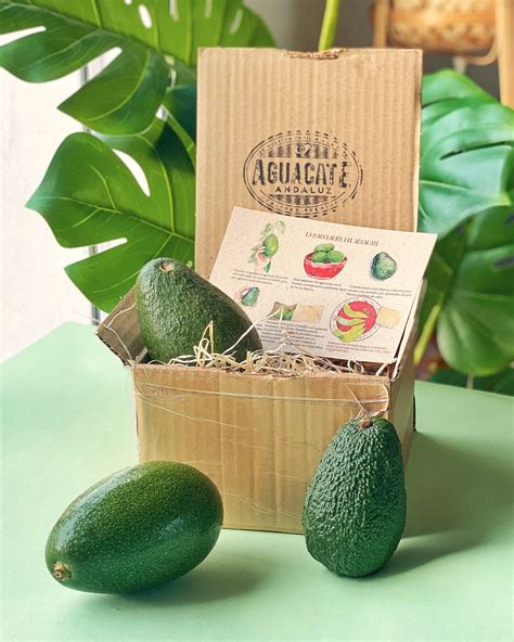 Aguacate Andaluz Comprar Aguacates Online Directo Del Campo