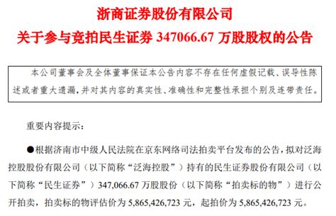 太刺激！38万人次围观，竞拍162次！9105亿元成交！知名券商股权拍卖，神秘买家竟是它 每日经济网