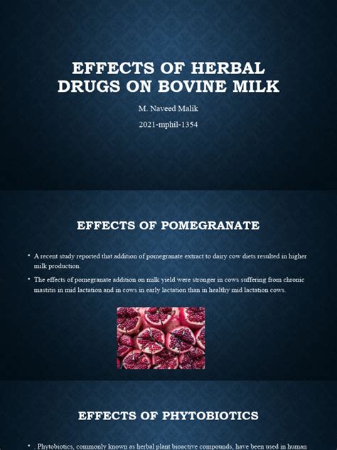 Effects Herbal Drugs On Bovine Milk | PDF | Cattle | Milk