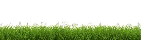 Premium Vector | Green Grass Border Isolated White Background