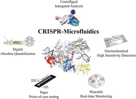 基于crispr的微流控分析及应用研究综述 知乎