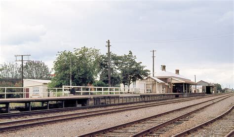 Singleton Railway Station Singleton Nsw Ki77 52 Dunedoo Flickr