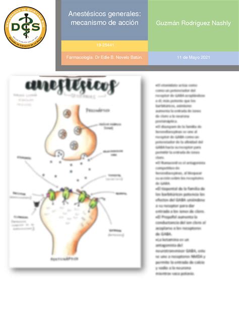 Solution Esquema De Anest Sicos Locales Studypool