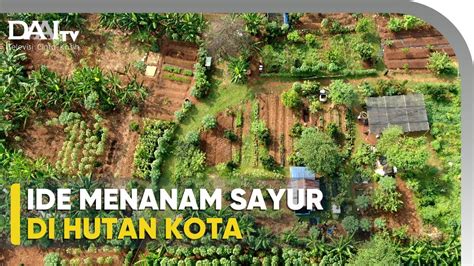 Ciptakan Ketahanan Pangan Di Hutan Kota Youtube