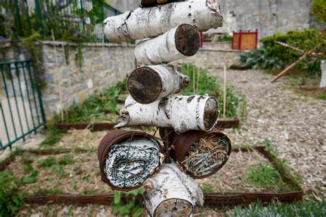 Lh Tel Insectes Un Abri Pour Les Auxiliaires Du Jardinier Centre