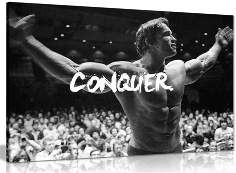 Arnold Schwarzenegger Conquer Poster