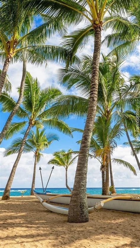 Łódka i palmy na morskiej plaży Tapeta na telefon