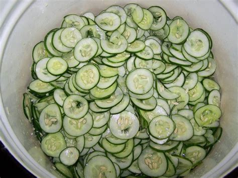 Can You Freeze Cucumbers Gardensall