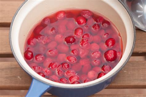 Cornelian Cherry Syrup: Recipe - Backyard Forager