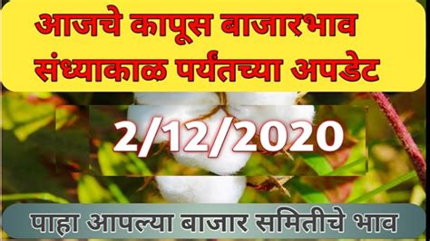 आजचे कापसाचे भाव2122020 कापुस बाजार भाव Kapus Bajarbhav Today