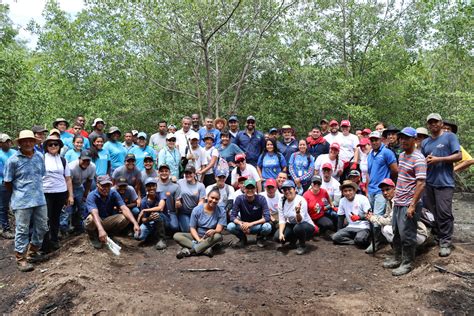 Se celebra el día del Manglar con jornada de restauración y feria