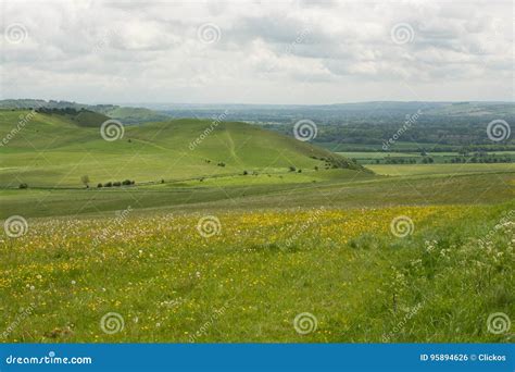 Pewsey Hills, Wiltshire, England Stock Photo - Image of pewsey, nature ...