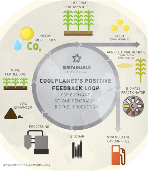 Biofuels... | Sustainable America