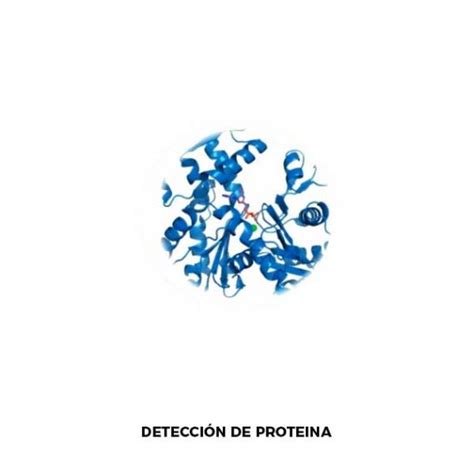 Espectrofot Metro Boeco Micro Uv Vis Modelos N Y N C Distribuidora