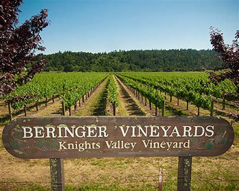 Beringer Knights Valley Cabernet Sauvignon 2017 – Gus Clemens on Wine