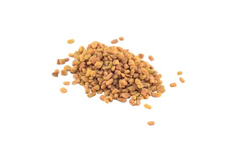 Fenugreek Seeds Isolated On White Background Cuisine Scoop Hard