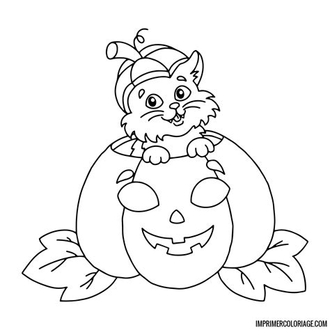 Coloriage De Chat D Halloween Imprimer Coloriage