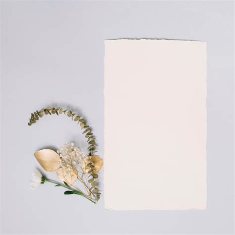 photo paper sheet  small branches  table