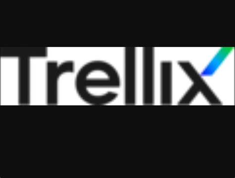 Trellix Ciso Council Launched With Top Cybersecurity Experts