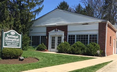 About Us | Animal Hospital of Worthington