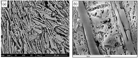 A And B Sem Micrographs Show The Microstructure Of High Cr White Download Scientific