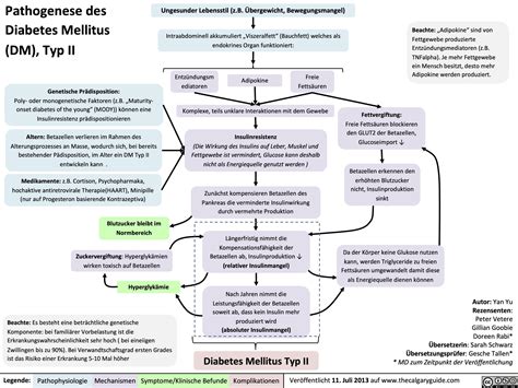 Dm Ii Pathogenesis Calgary Guide