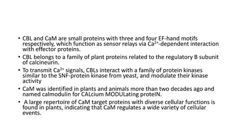 Signal Transduction Calcium Signaling PPT