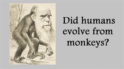 Charles Darwin Theory Of Evolution Did We Evolve From Monkeys