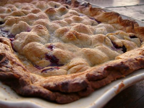 20 Best Blackberry Cobbler With Pie Crust Best Recipes Ever