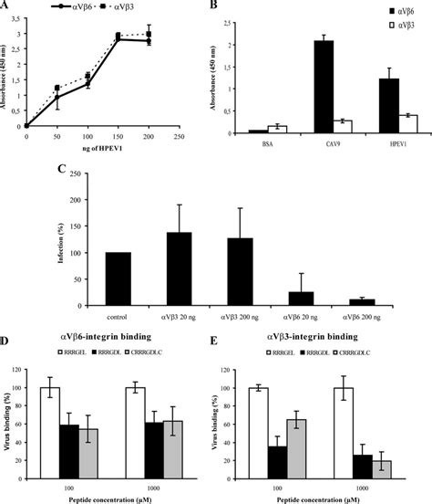 Integrin Binding Assays A Hpev1 In Vitro Binding Assay To Download Scientific Diagram