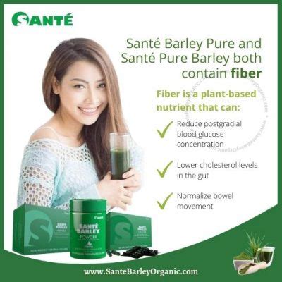 Sant Barley Juice Powder With Stevia Canister G Sant Barley